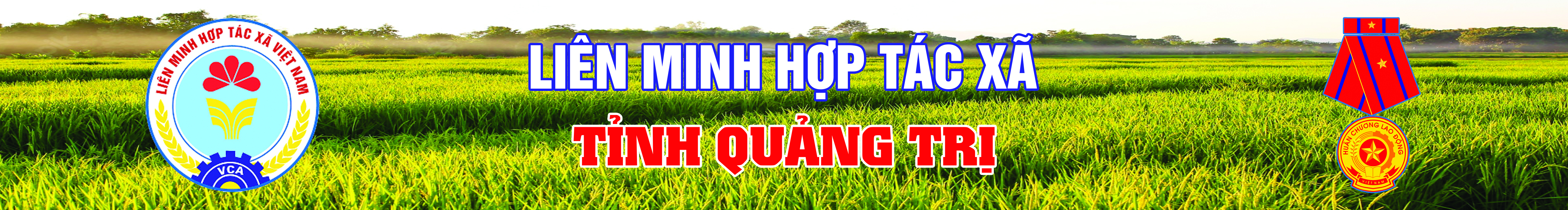 LIÊN MINH HỢP TÁC XÃ TỈNH QUẢNG TRỊ